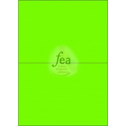 Planche A4 velin permanent 210x148,5 VERT FLUO