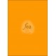 Planche A4 velin permanent 210x297 ORANGE FLUO